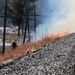 Fort McCoy holds 2023’s first prescribed burn at installation