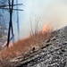 Fort McCoy holds 2023’s first prescribed burn at installation