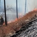 Fort McCoy holds 2023’s first prescribed burn at installation