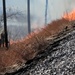 Fort McCoy holds 2023’s first prescribed burn at installation