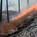 Fort McCoy holds 2023’s first prescribed burn at installation