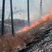 Fort McCoy holds 2023’s first prescribed burn at installation