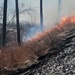 Fort McCoy holds 2023’s first prescribed burn at installation