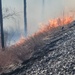 Fort McCoy holds 2023’s first prescribed burn at installation