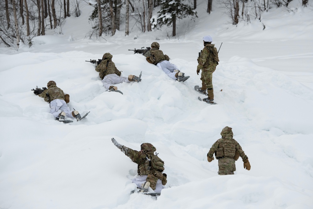 '3 Geronimo' paratroopers conduct CALFEX at JBER, Alaska