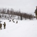 '3 Geronimo' paratroopers conduct CALFEX at JBER, Alaska