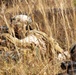 UAE and U.S. troops enter the box JRTC