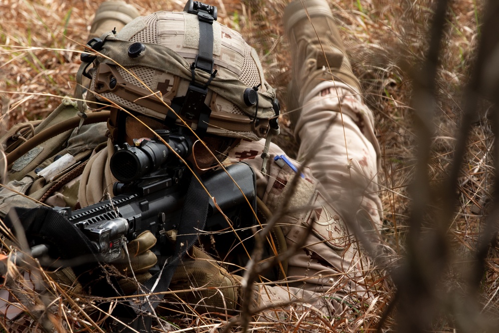 UAE and U.S. troops enter the box JRTC