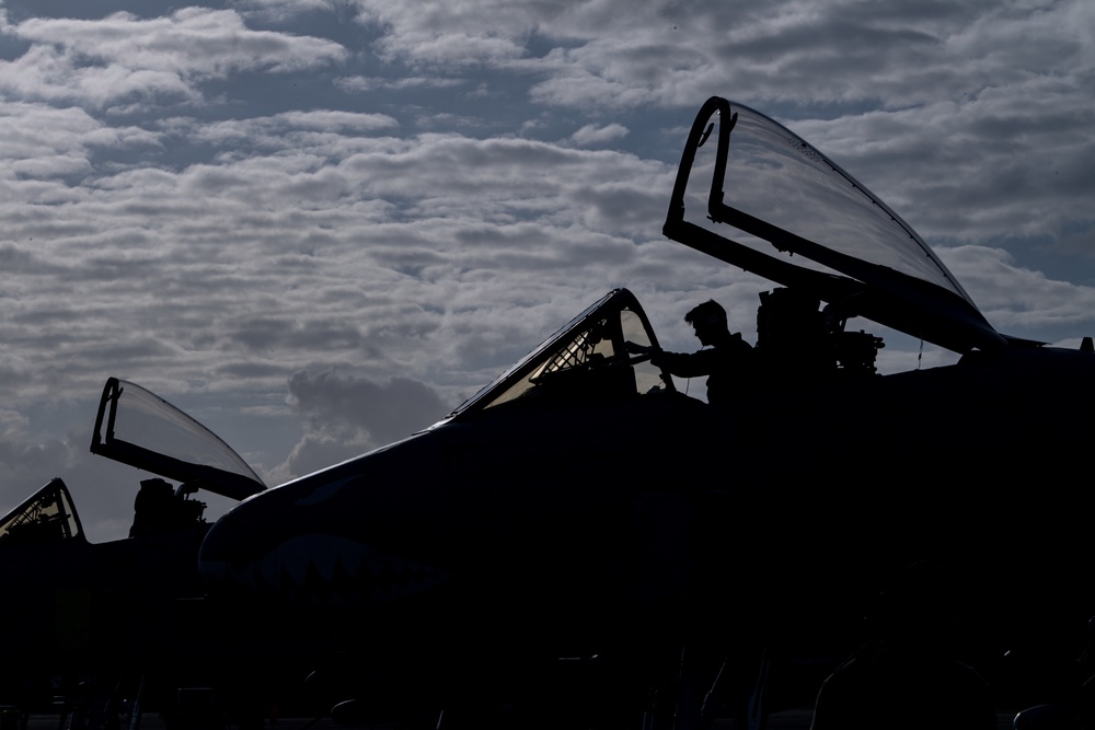 Moody A-10s attack Forward Tiger 23