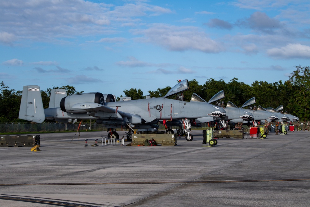 Moody A-10s attack Forward Tiger 23