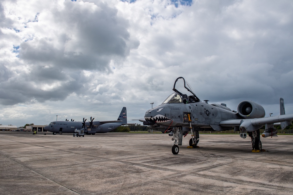 Moody A-10s attack Forward Tiger 23