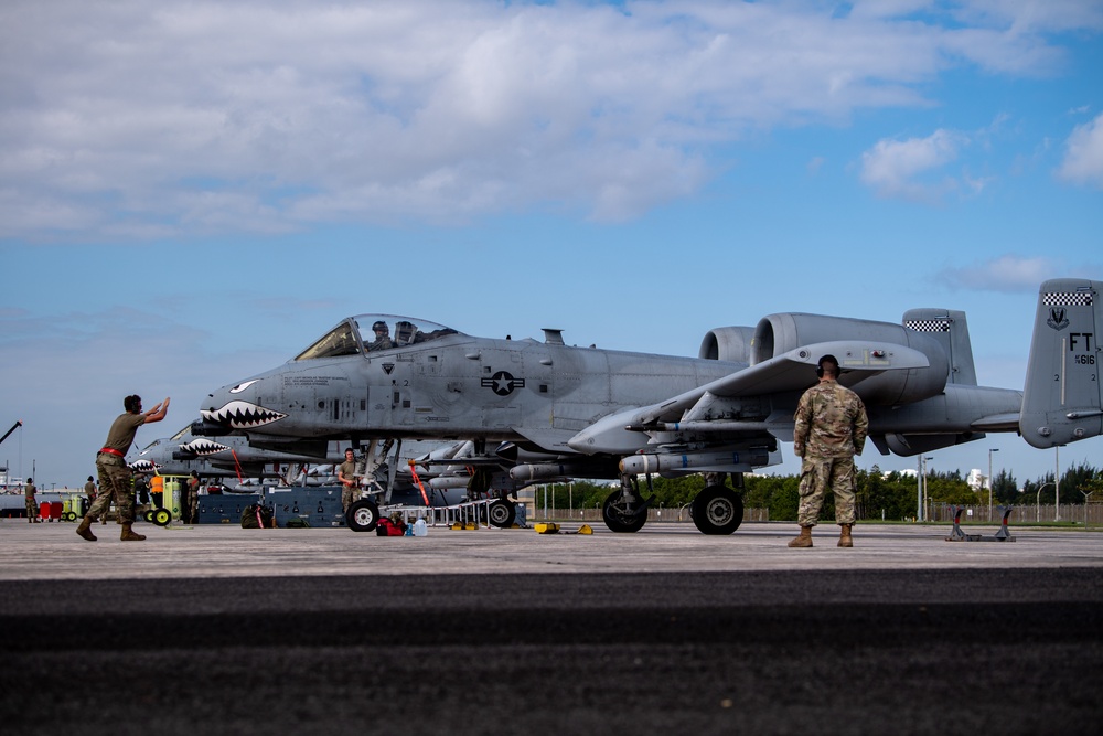 Moody A-10s attack Forward Tiger 23