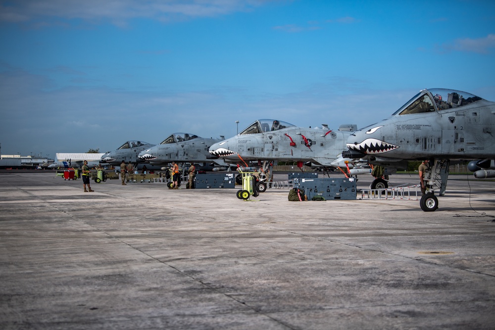 Moody A-10s attack Forward Tiger 23