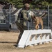 NAF Atsugi Military Working Dogs Demonstrate Obedience Training
