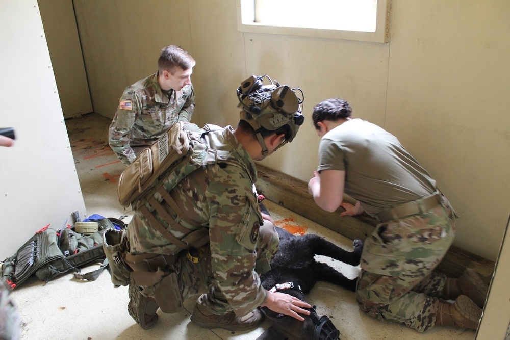 Fort Dix - K9 Tactical Combat Casualty Care (K9TCCC) MSTC 16 Feb 2023