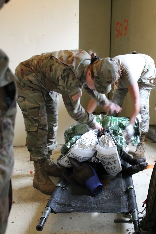 Fort Dix - K9 Tactical Combat Casualty Care (K9TCCC) MSTC 16 Feb 2023