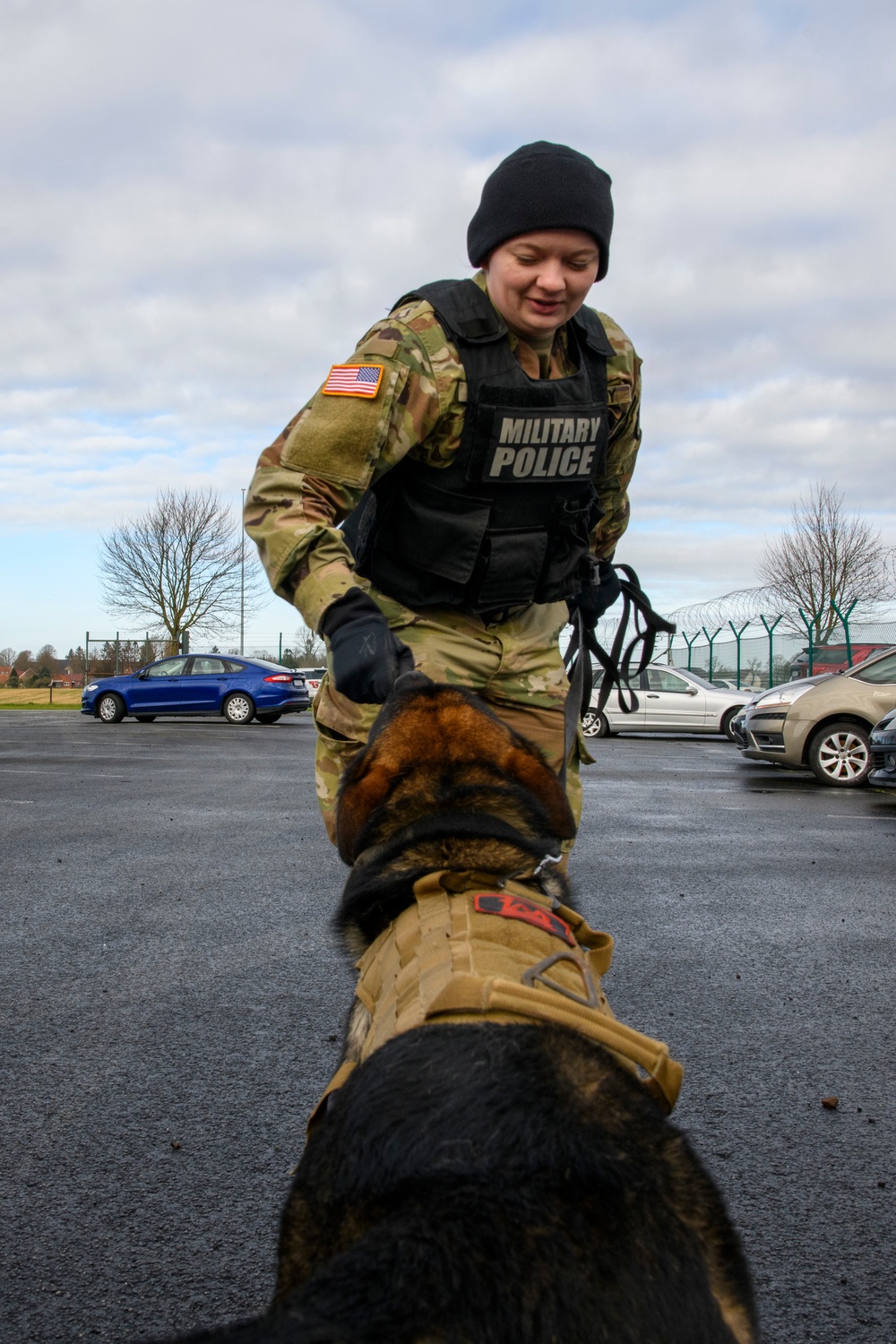 Military Working Dog Validation Training on Chièvres Air Base