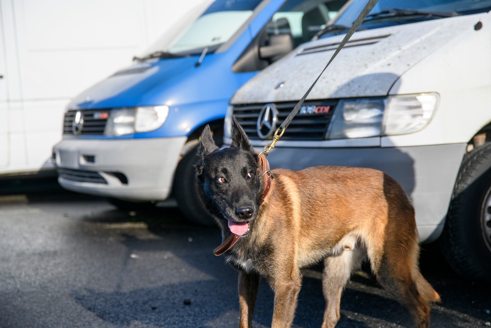 Military Working Dog Validation Training on Chièvres Air Base