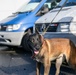 Military Working Dog Validation Training on Chièvres Air Base