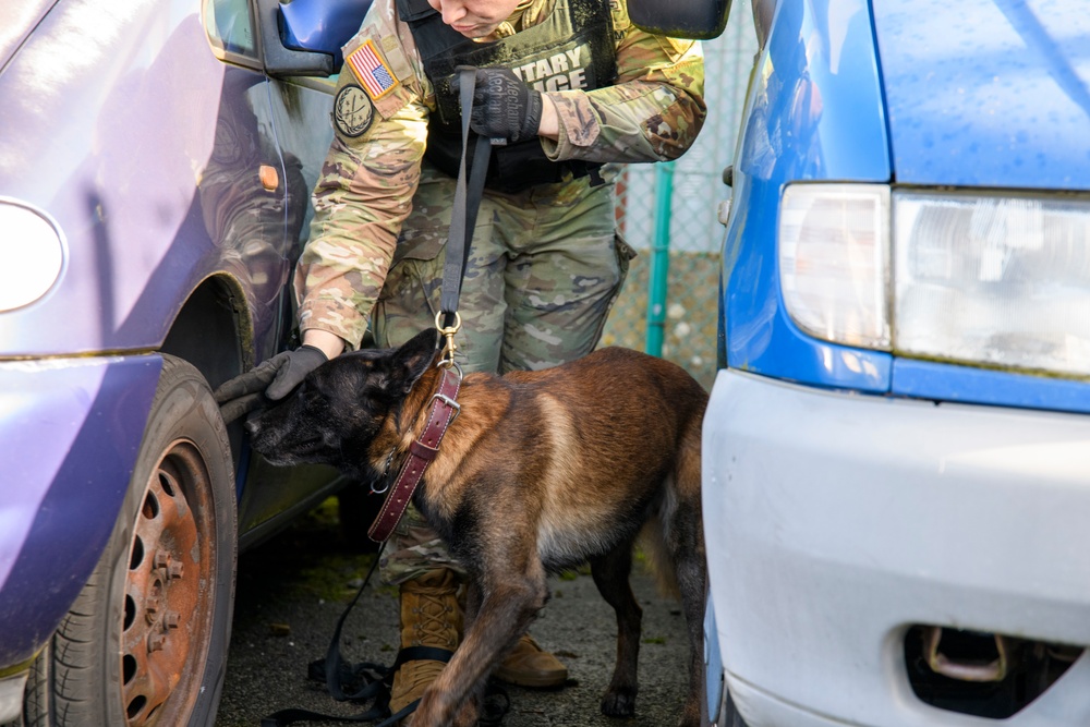 Military Working Dog Validation Training on Chièvres Air Base