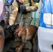 Military Working Dog Validation Training on Chièvres Air Base