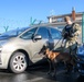 Military Working Dog Validation Training on Chièvres Air Base