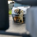 Military Working Dog Validation Training on Chièvres Air Base