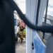 Military Working Dog Validation Training on Chièvres Air Base