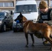 Military Working Dog Validation Training on Chièvres Air Base