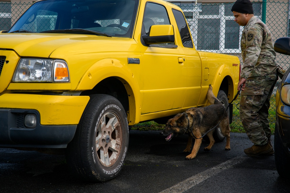 Military Working Dog Validation Training on Chièvres Air Base