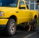 Military Working Dog Validation Training on Chièvres Air Base