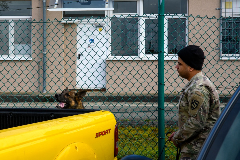 Military Working Dog Validation Training on Chièvres Air Base