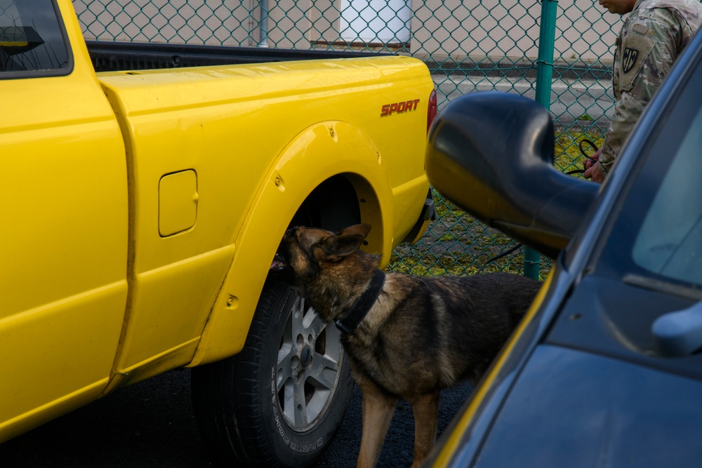 Military Working Dog Validation Training on Chièvres Air Base