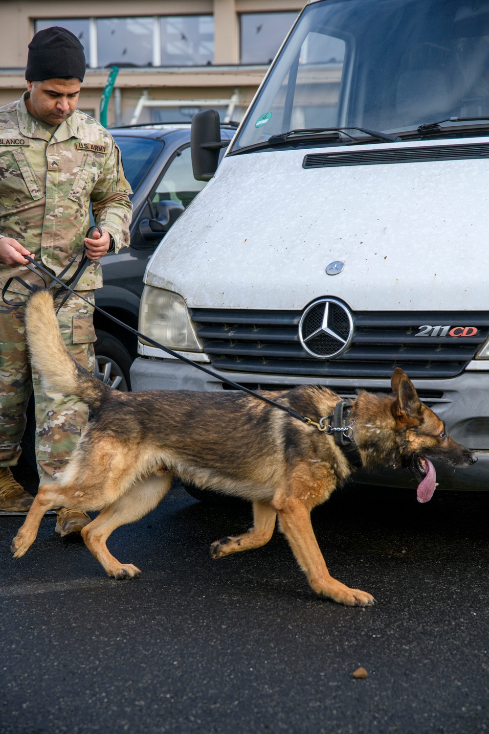 Military Working Dog Validation Training on Chièvres Air Base