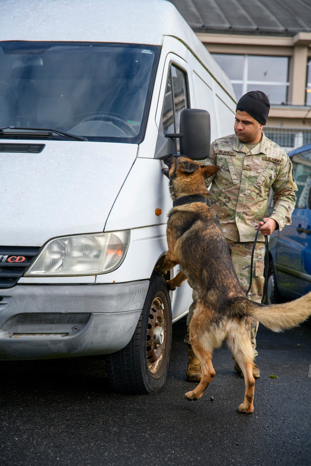 Military Working Dog Validation Training on Chièvres Air Base