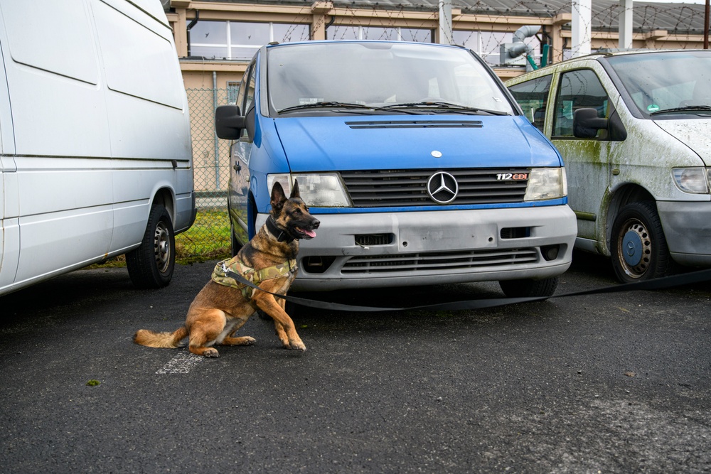 Military Working Dog Validation Training on Chièvres Air Base