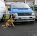 Military Working Dog Validation Training on Chièvres Air Base