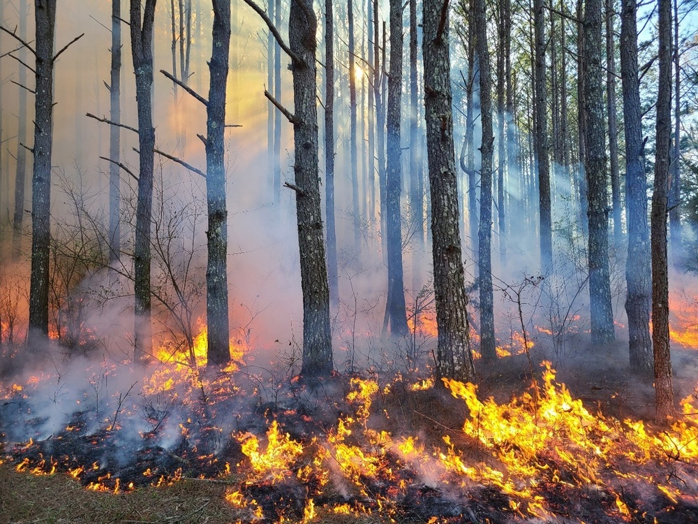 Annual prescribed burn season is approaching at Arnold AFB