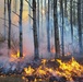 Annual prescribed burn season is approaching at Arnold AFB