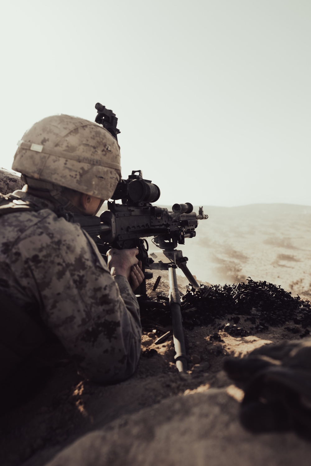 2nd AABn conducts Live-Fire and Maneuver Range during Intrepid Maven 23.2