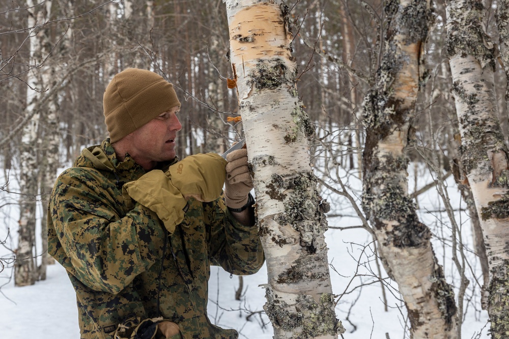 CLR-2 and CLB-2 Leadership Participate in Survival Training