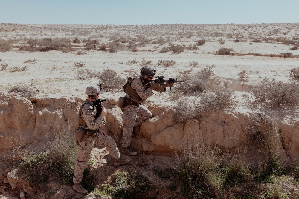 2nd AABn conducts Live-Fire and Maneuver Range during Intrepid Maven 23.2