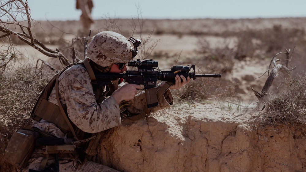 2nd AABn conducts Live-Fire and Maneuver Range during Intrepid Maven 23.2