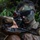 1-325 AIR, 82nd ABN