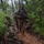 1-325 AIR, 82nd ABN