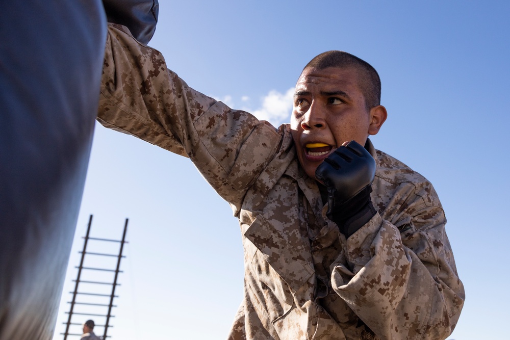 Charlie Company Confidence Course