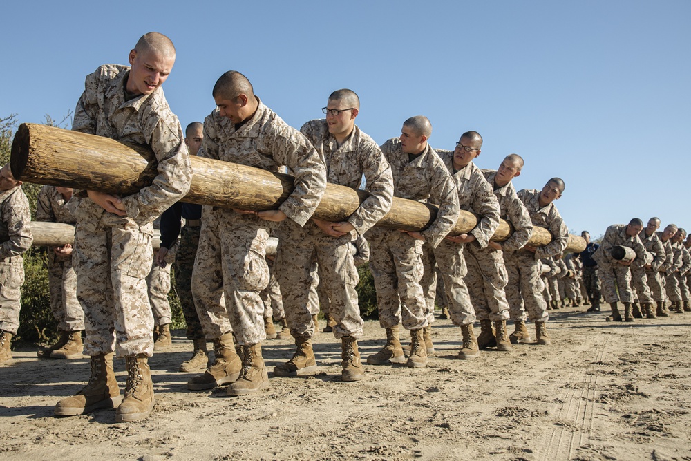 Kilo Company Log Drills