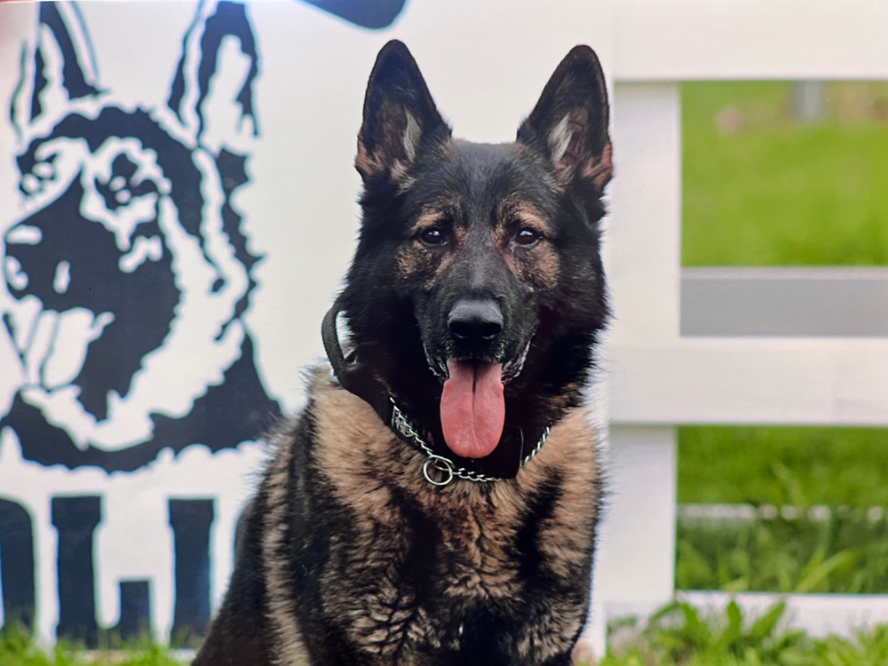 Army Explosive Ordnance Disposal officer bonds with Navy working dog on battlefield