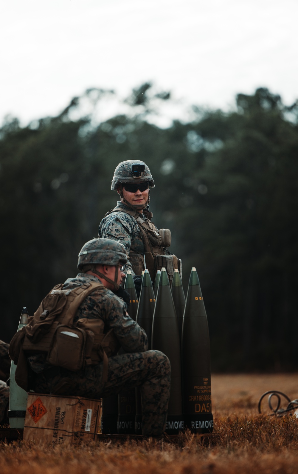 2/10 HIMARS and Artillery Live Fire Exercise