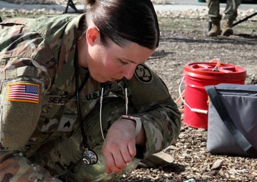 Comprehensive Medical Training Streamlines Recertification Process for Medical Specialists